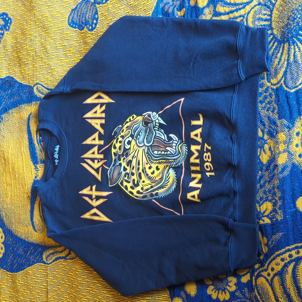 🌸⭐🌸Def Leppard Sweatshirt